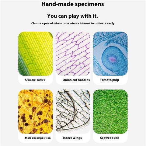 2508 Children Calibrated 180X Microscope Handheld Portable STEM Optical Microscope Experiment Science Toy