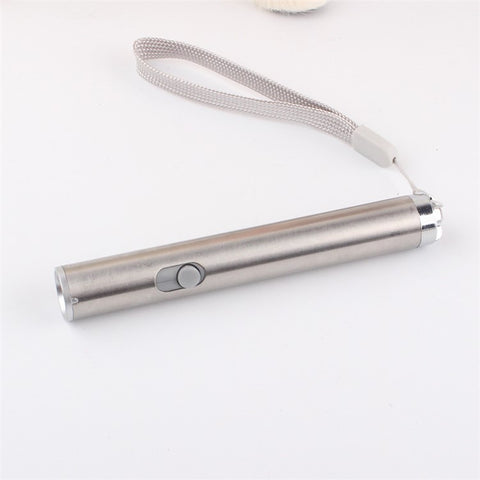 Laser Funny Cat Stick Toy 2 in 1 Red Laser Pen LED Flashlight Exercise Training Tool