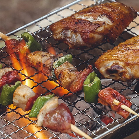 HALIN Outdoor Stainless Steel Barbecue Charcoal Grill Folding Camping Picnic BBQ Stove