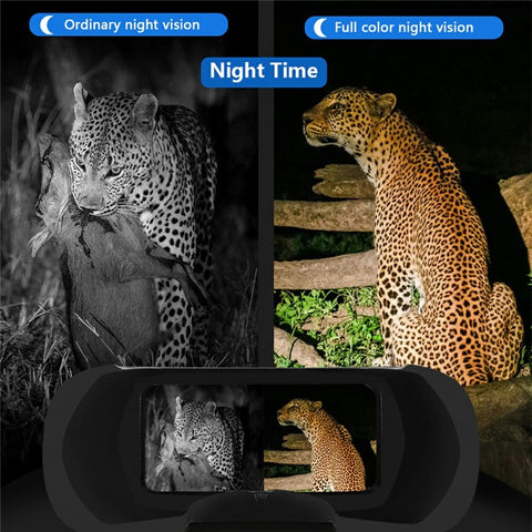 DT69 Portable Head-Mounted Infrared Night Vision Digital Binoculars Camera, without GPS