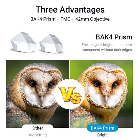 APEXEL 10X42 Waterproof Telescope HD High Power Low Light Night Vision Large Eyepiece Binoculars with FMC Multi-Coated for Outdoor Bird Watching Concert Hunting