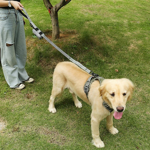 LDLC QS-080 Pet Gift Waste Bag Dispenser Zippered Pouch Portable Dog Poop Bag Holder Leash Attachment, Double Zipper