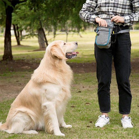 LDLC QS-095 Outdoor Walking Large Capacity Dog Treat Pouch Waterproof Pet Gift Training Waist Bag