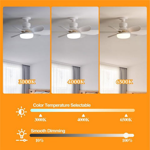2 in 1 Adjustable Brightness 40W E27 LED Bulb 6 Blades Ceiling Fan with Remote Control