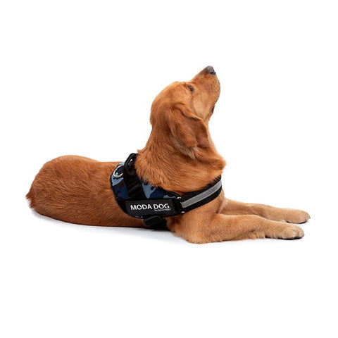 MODA DOG H047 Size L, No Pull Medium / Large Dog Harness Gift Easy Walk Anti-Rush Easy Control Safety Pet Vest