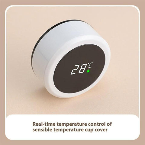 Thermos Bottle 500ML Smart Temperature Display 304 Stainless Steel Insulated Mug Sport Flasks (No FDA Certificate)