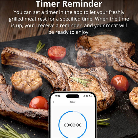 SONOFF BMT01 Meat Thermometer Bluetooth-compatible Smart APP Monitoring Barbecue Temperature Tester ( No FDA, BPA Free )