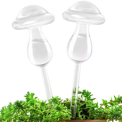 Self Watering Device Automatic Plant Water Irrigation Tool When Away On Vacation Travel