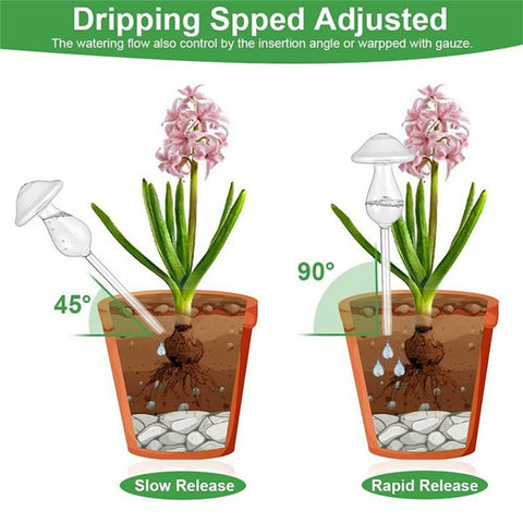 Self Watering Device Automatic Plant Water Irrigation Tool When Away On Vacation Travel