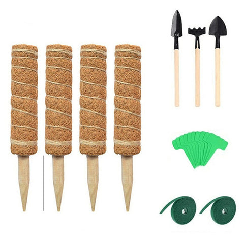 4Pcs 30cm Plant Climbing Rod Vine Climbing Coconut Palm Rod Plant Support Stick with Tools