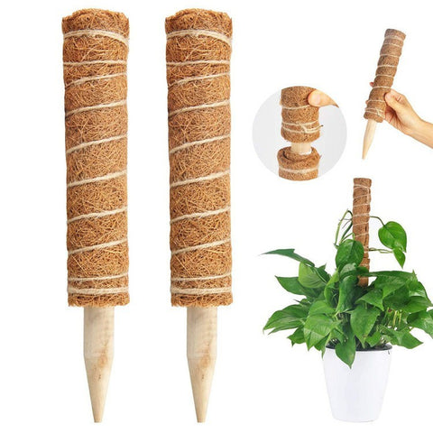 4Pcs 30cm Plant Climbing Rod Vine Climbing Coconut Palm Rod Plant Support Stick with Tools