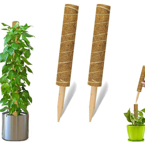 4Pcs 50cm Garden Plant Support Stick Plant Climbing Rod Vine Climbing Coconut Palm Rod with Tools