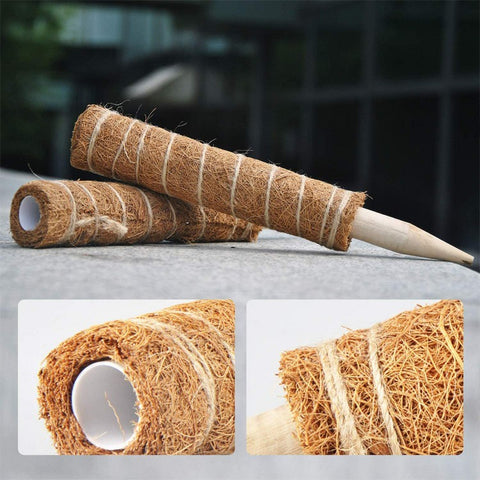 4Pcs 50cm Garden Plant Support Stick Plant Climbing Rod Vine Climbing Coconut Palm Rod with Tools