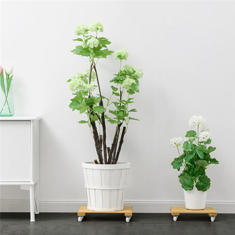 GLTPNZHJ-02 30x30cm Square Flower Pot Holder Tray with Wheels Bamboo Roller Base, Size L