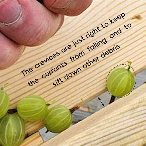 Wooden Berry Picker Gooseberry Harvesting Scoop with Ergonomic Handle for Large Caliber Berries