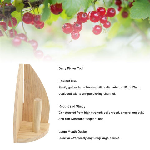 Wooden Berry Picker Gooseberry Harvesting Scoop with Ergonomic Handle for Large Caliber Berries