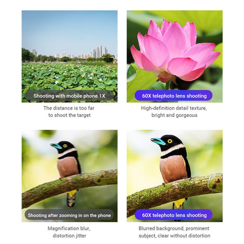 APEXEL APL-60XFR50 60X Telephoto Lens Tripod Set Multi-Layer Coated HD 50mm Phone Monocular for Birds Watching, Concert
