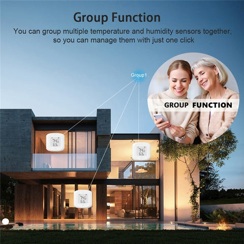 Tuya WiFi  /  Zigbee Smart Temperature Humidity Sensor Real Time Monitoring High Precision Digital Detector