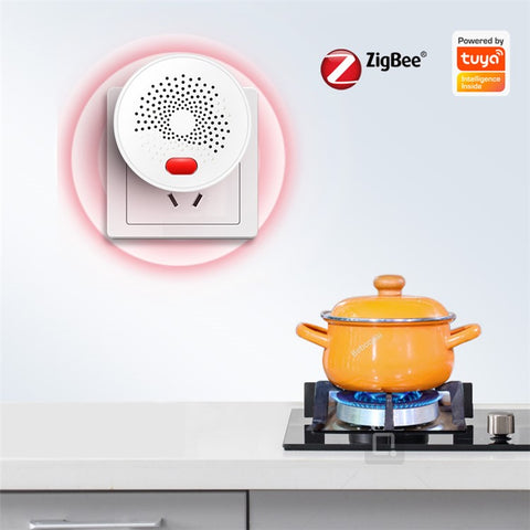 DY-RQ500A Tuya Smart Zigbee Gas Detector Alarm IEEE802.15.4 Combustible Gas Sensor