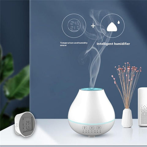 WSD500C Tuya Zigbee Temperature Humidity Sensor Abnormal Alarm for Home Office