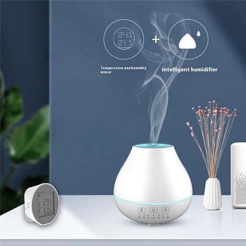 SQ400B WiFi Smart Water Leak Detector Overflow Sensor with Buzzer Real Time Monitor Alexa Google Assistant Compatible