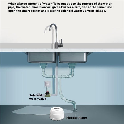 SQ500B Tuya Smart Zigbee 3.0 Water Leak Detector Smart Sensor for Alexa Google Assistant Real Time Monitor