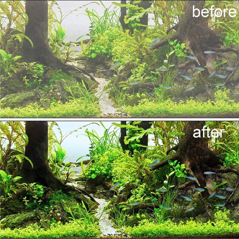 3W 3-in-1 Mini Filter Oxygen Supply Fish Tank Air Pump Aquarium Fish Sponge Filter Quiet Filter