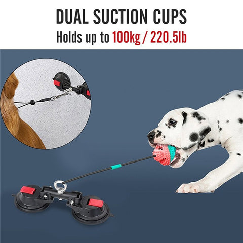 Suction Cup Hook Dog Bathing Grooming Bathing Dual Suction Cup Tub Holder for Pet Dog Cat Shower